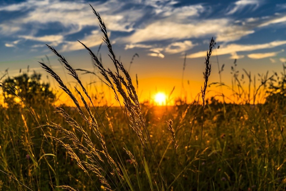 Eni e Coldiretti: accordo per rafforzare il ruolo dell’energia a servizio dell’agricoltura