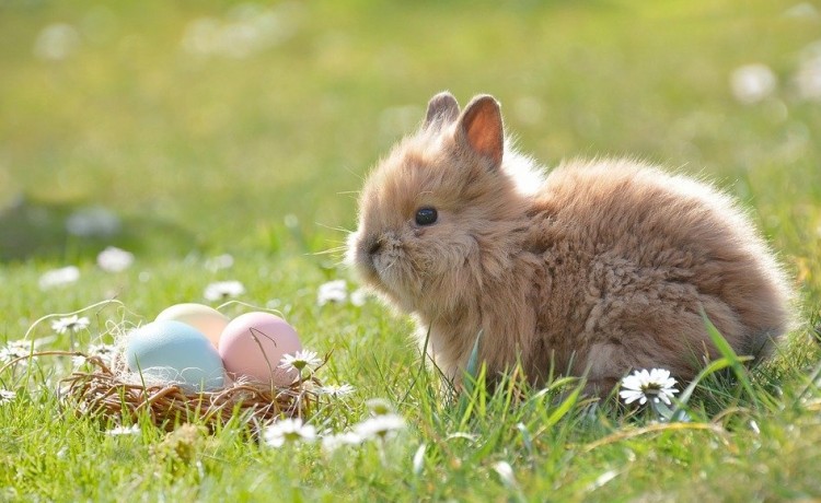 Coronavirus, per il turismo conto da 6 mld con la Pasqua in quarantena