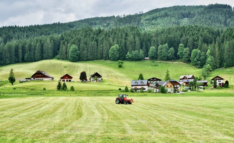 Coronavirus, crisi liquidità per 6 aziende agricole su 10