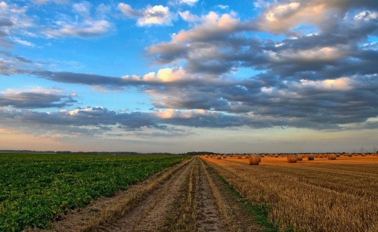 Startup e agricoltura 4.0,+22% in Italia nel 2019