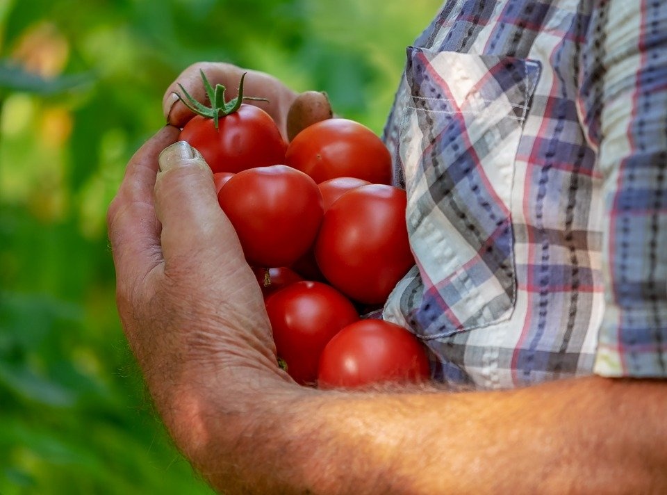 Coronavirus: il prezzo della frutta sale 40 volte l’inflazione, sos lavoro