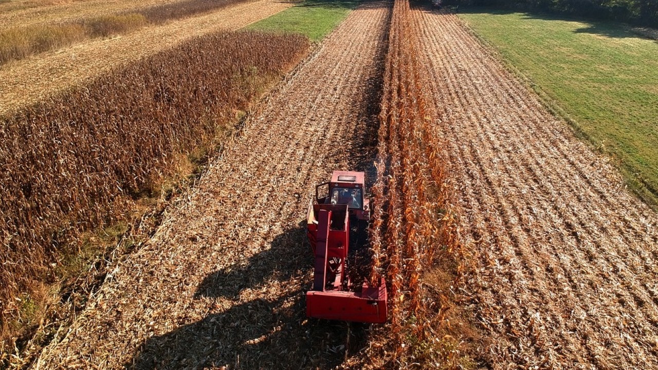 Fase 2, balzo dei prezzi dalla frutta (+8%) al latte (+5%)