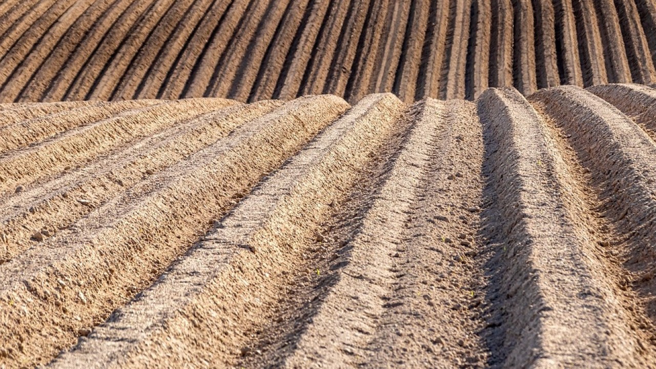 Fase 2, aiuti alle imprese: firmate le prime due cambiali agrarie Ismea