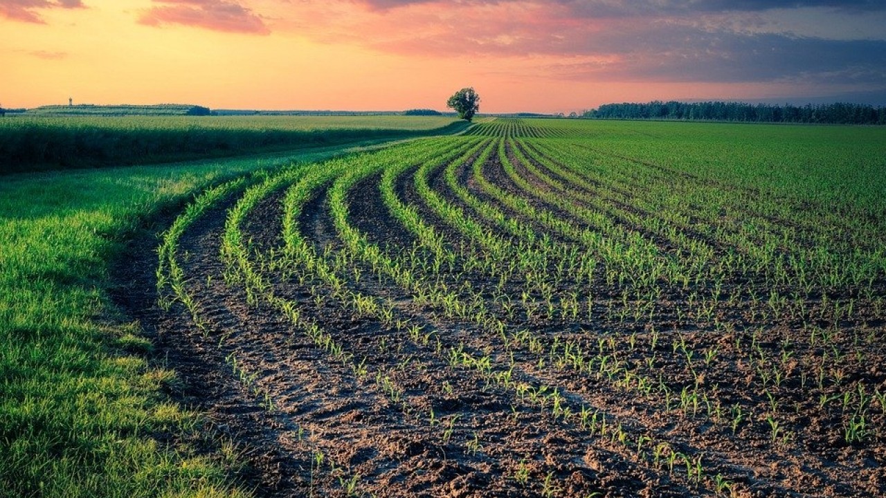 Stati Generali, Coldiretti: dall’agricoltura 200mila posti di lavoro