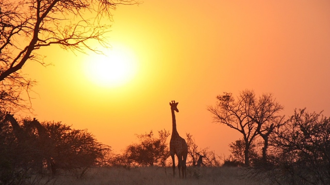 Zambia: il solare e l'eolico decisivi nel potenziamento dell'approvvigionamento elettrico