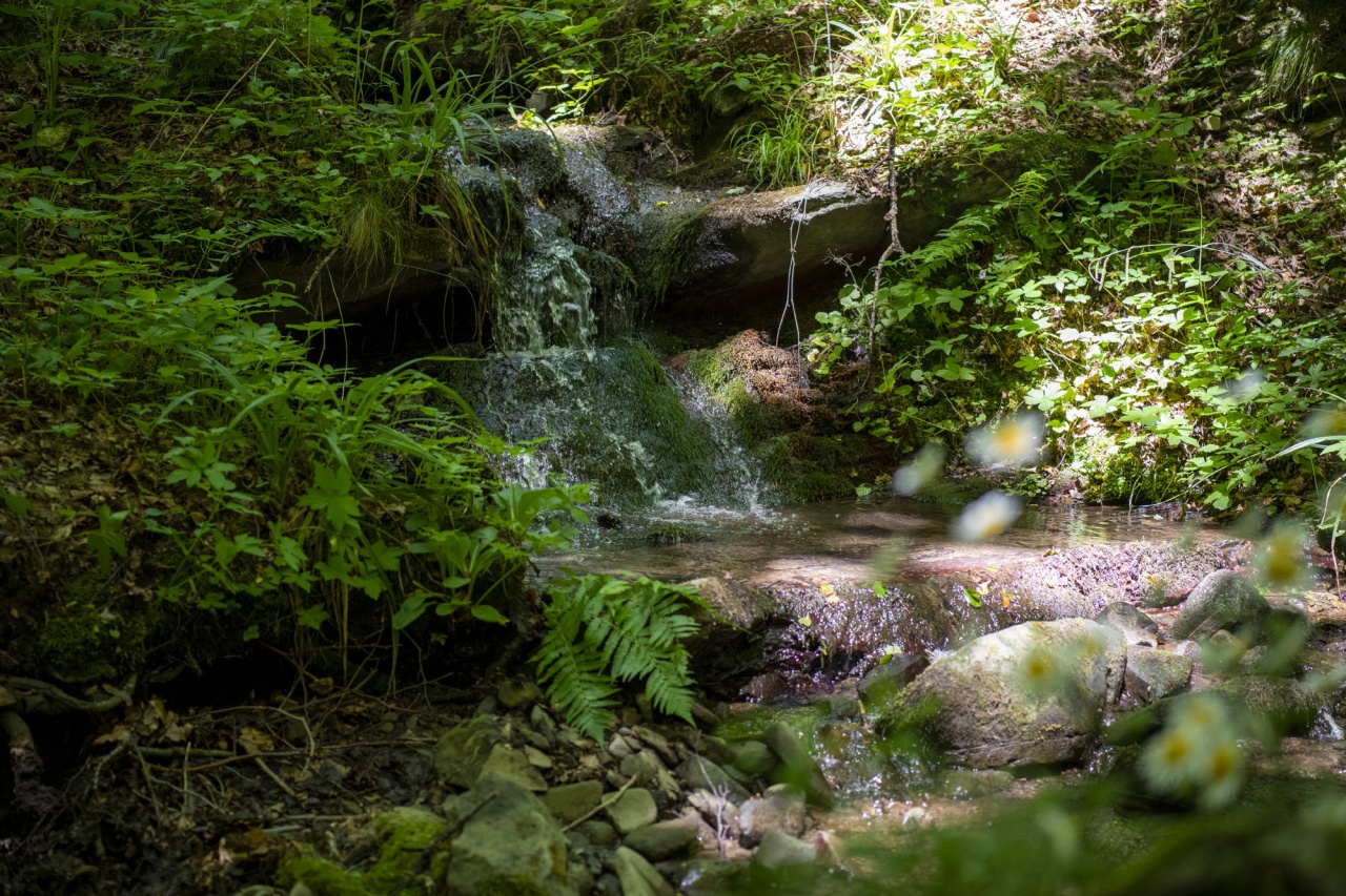 Nestlé Waters punta a un impatto idrico positivo rigenerando i cicli idrologici locali