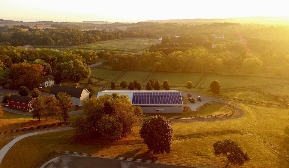 Transizione ecologica: CREA ed Enel insieme per lo sviluppo dell’agrivoltaico