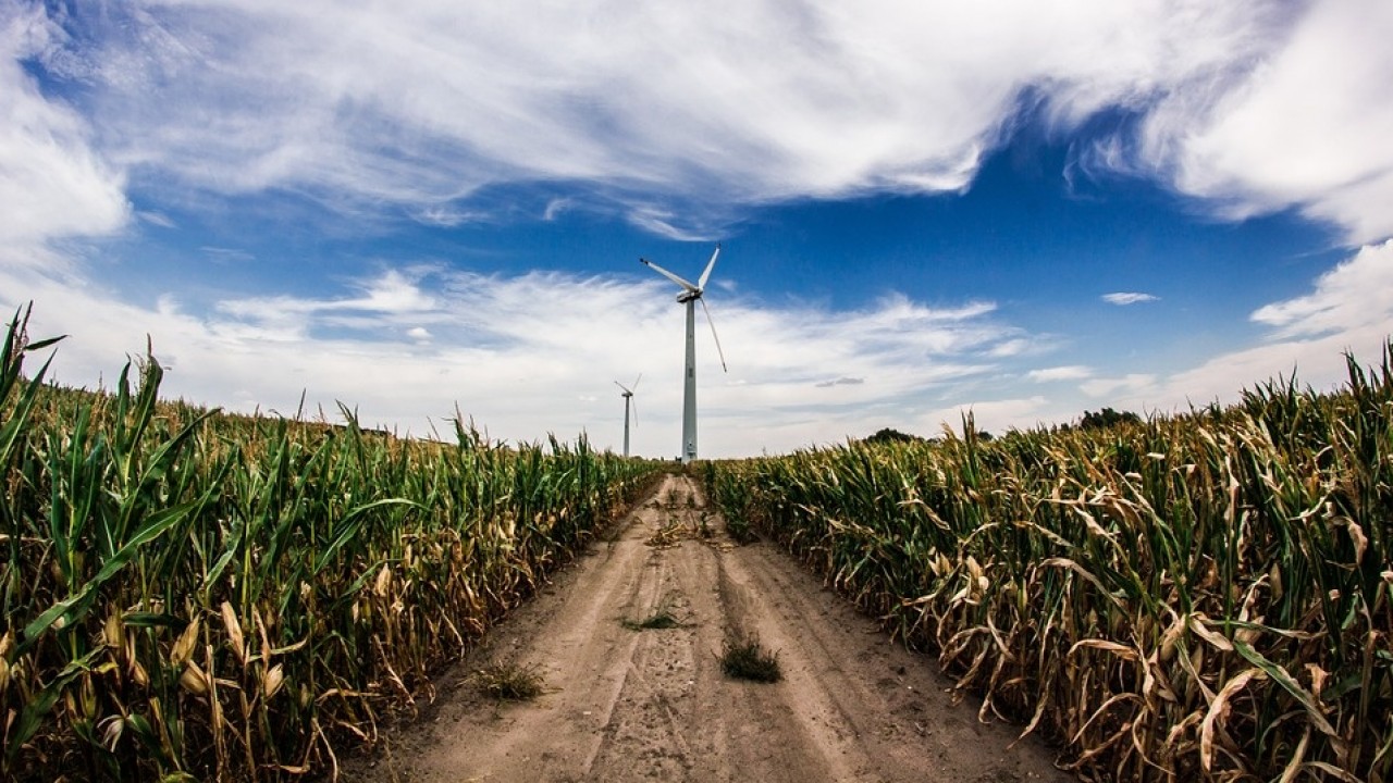 Confagricoltura ed Enel insieme per la transizione energetica ed ecologica