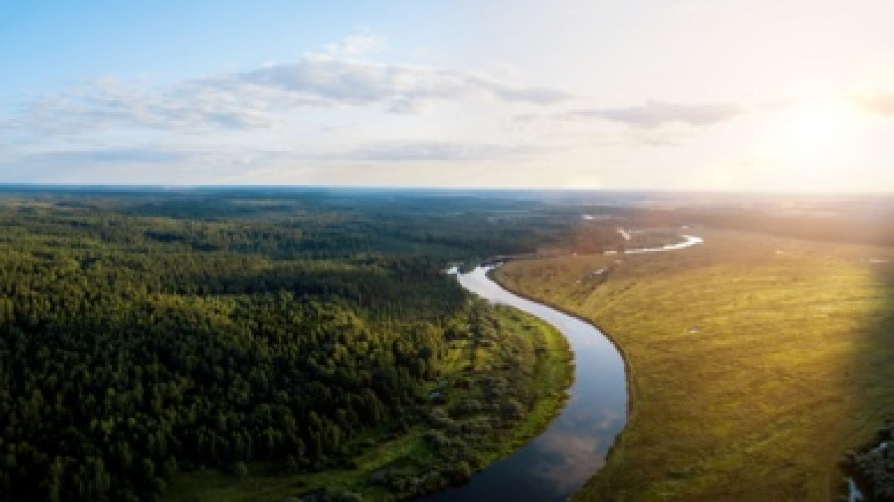 Nestlé: entro il 2025 le principali materie prime saranno a “zero deforestazione”