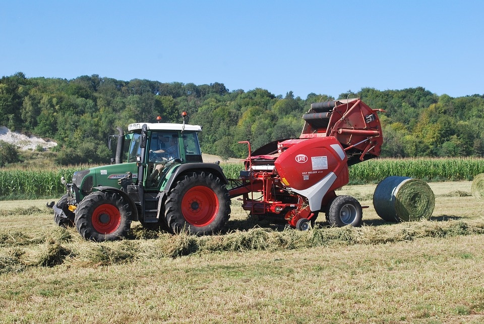 Lavoro, Coldiretti: balzo del 17,5% in agricoltura