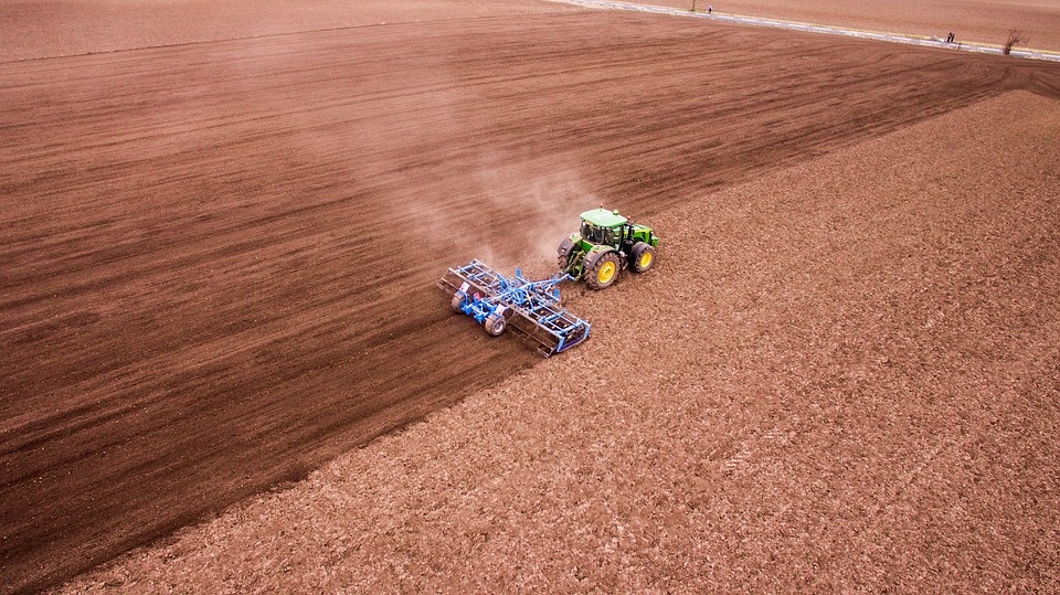 Energia: 1 agricoltore su 3 taglia i raccolti