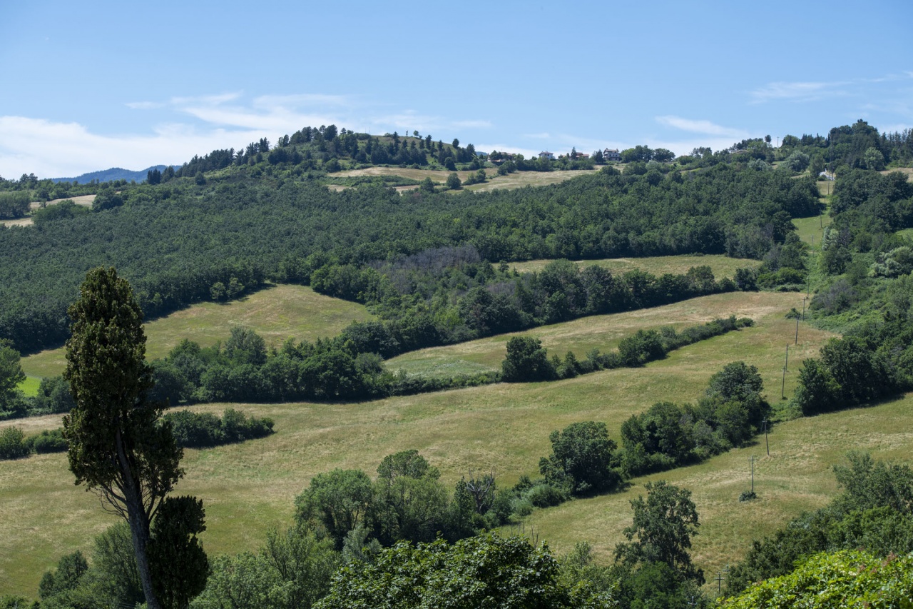 Sanpellegrino amplia il progetto “La fonte della biodiversità di Acqua Panna”