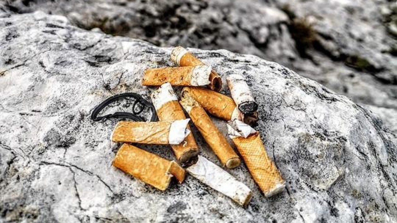 Rifiuti: nasce primo consorzio contro abbandono rifiuti di prodotti del tabacco nell’ambiente