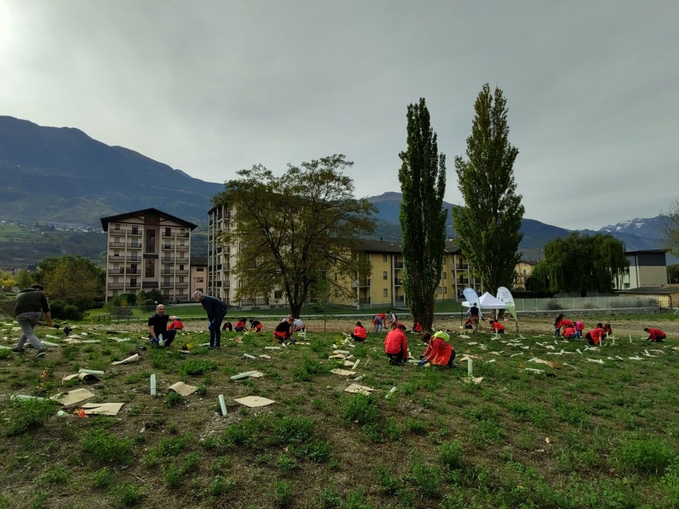 Ad Aosta Conad Nord Ovest insieme a Rete Clima per il progetto Forestiamo Insieme l'Italia