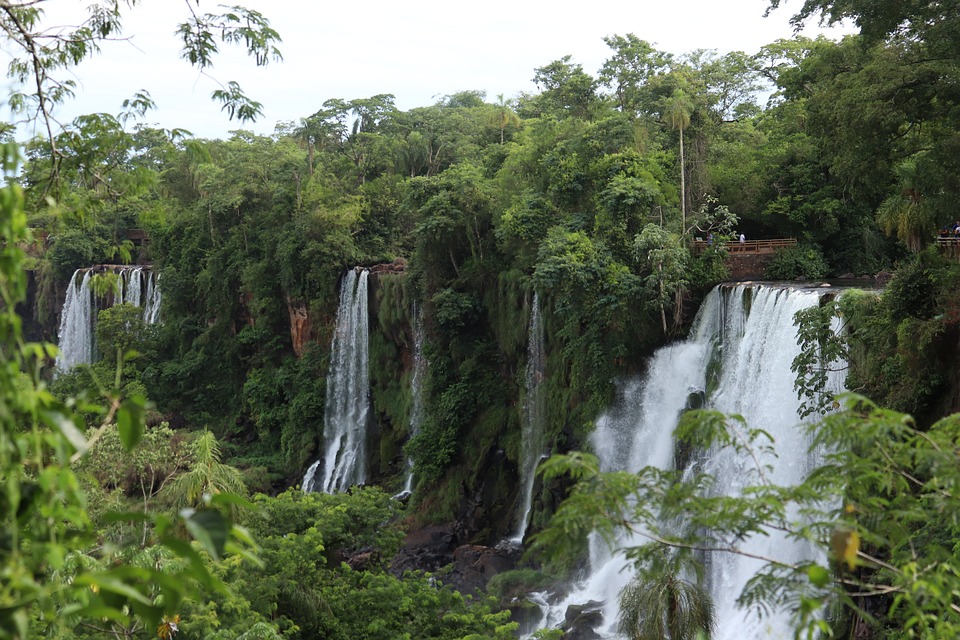 Argentina: progetto di conservazione delle foreste sviluppato da Carbon Credits Consulting