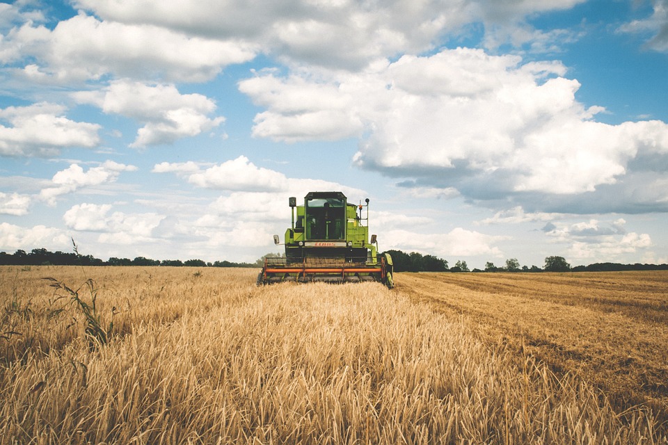 Energia: sos agricoltura da -14% trattori a -30% concimi