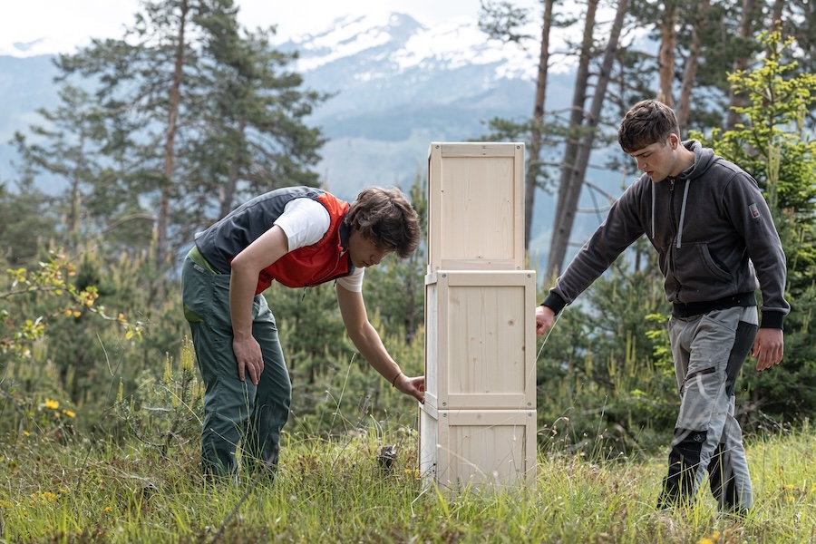 Il legno bostricato del Trentino diventa arredo di design ecosostenibile con il progetto IncasTree