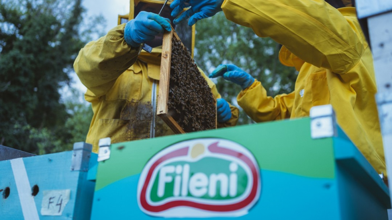Fileni: api al lavoro come sentinelle dell’ambiente
