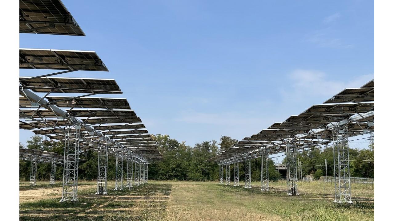 Casalasco presenta il primo parco agrivoltaico in Italia per la coltivazione del pomodoro da industria