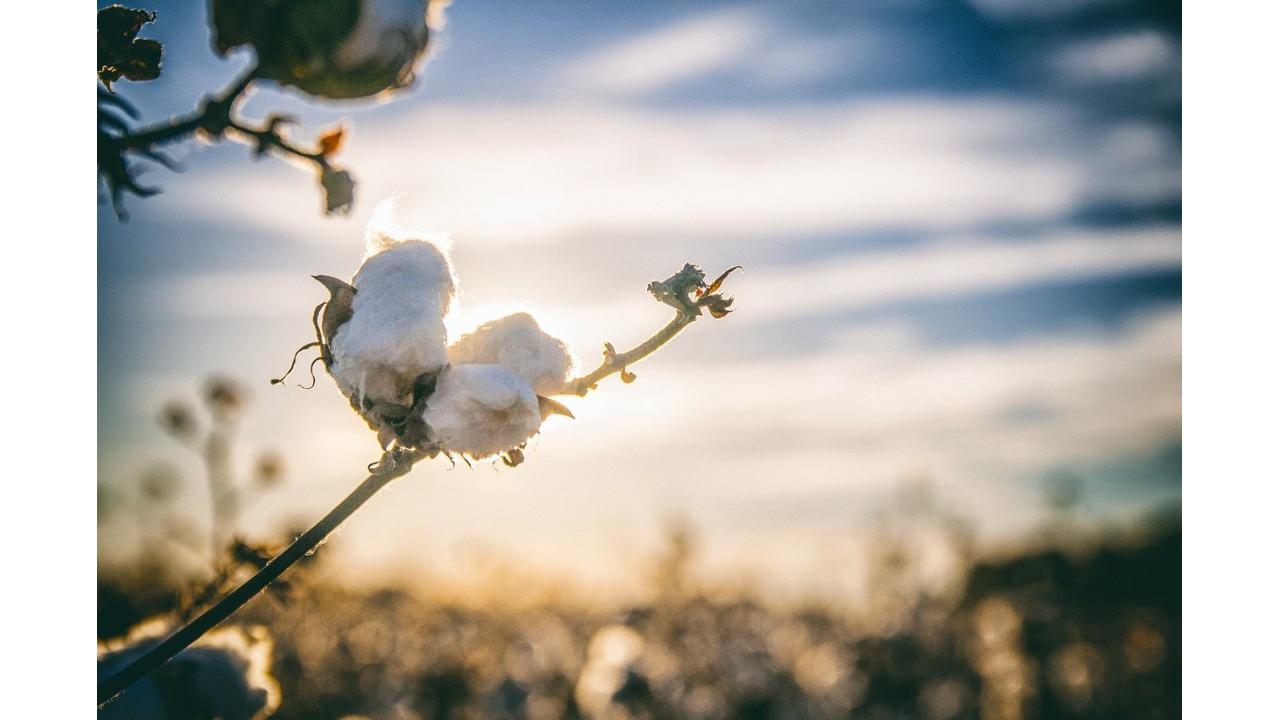 Carrera Jeans presenta il primo bilancio di sostenibilità accessibile