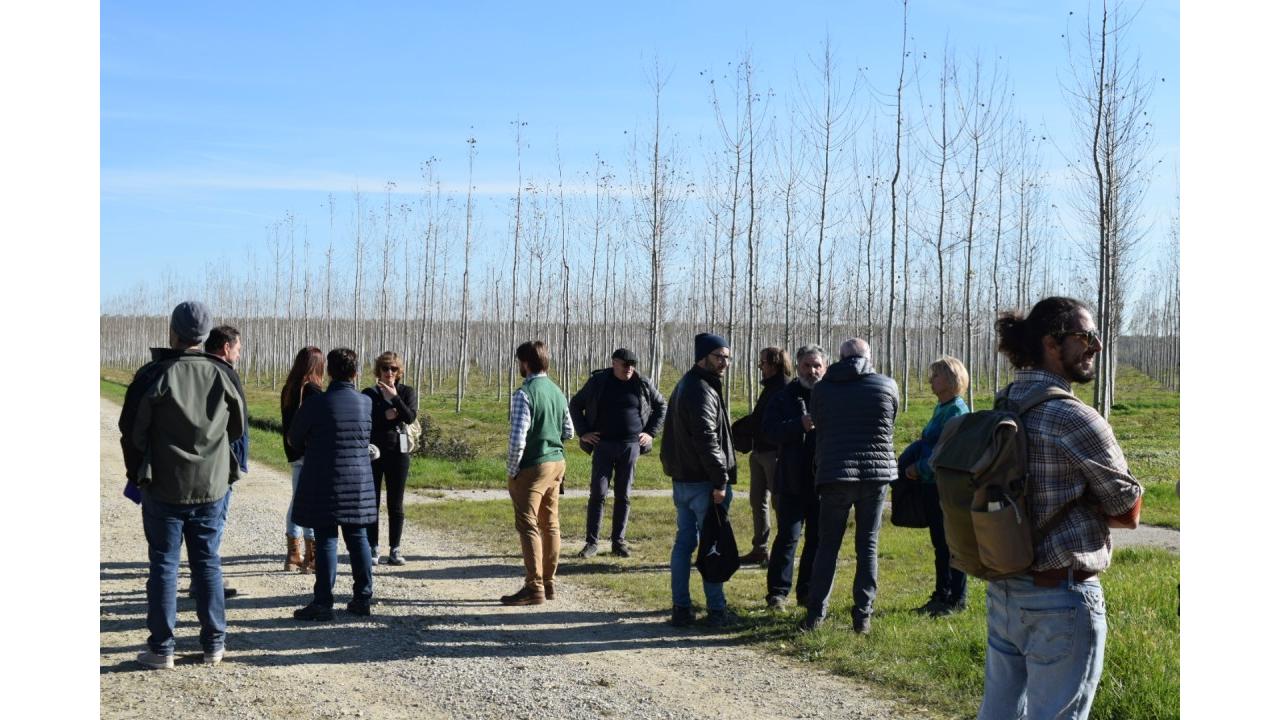 Agrivoltaico in Friuli, partito un 