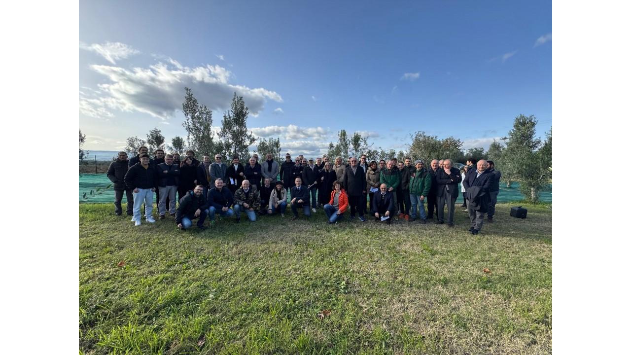 Fileni: dal campo alla tavola, passando per il frantoio, il Gruppo celebra la Giornata Mondiale dell’Olivo