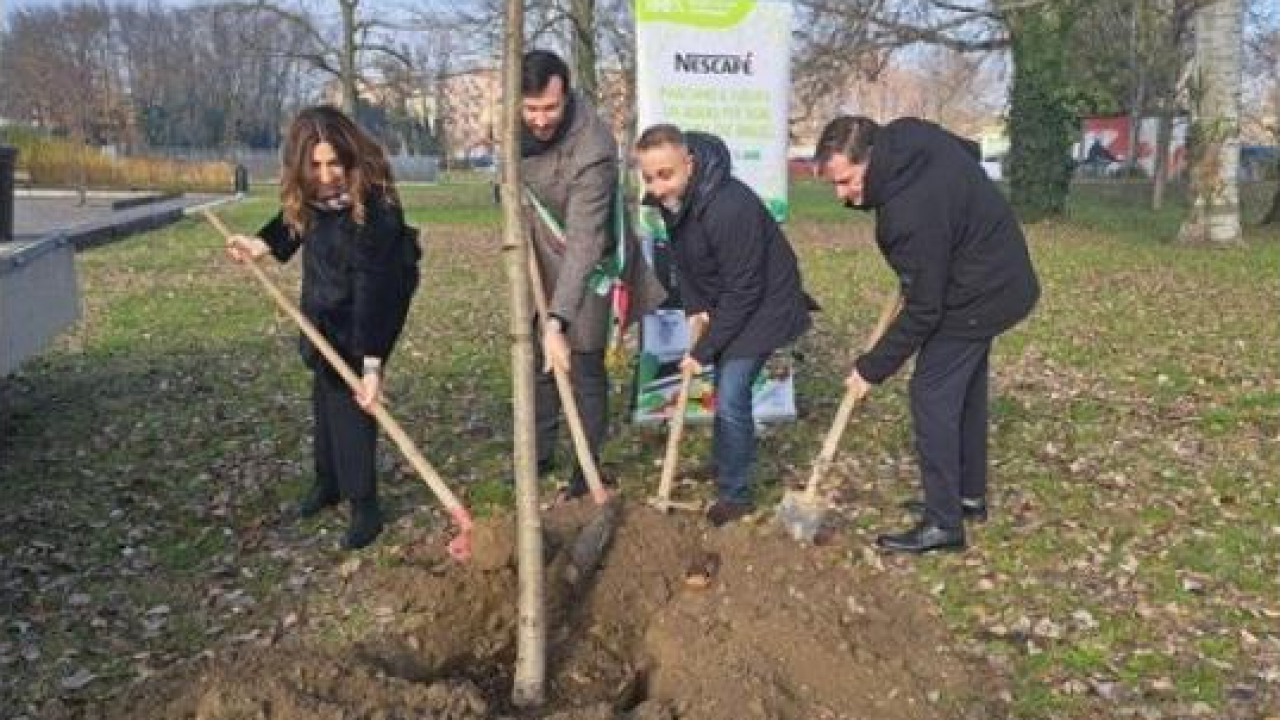 Arriva a Ferrara il progetto di Nescafé con l’obiettivo di piantare 500 alberi in 3 anni 